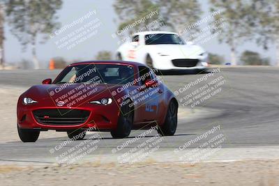 media/Oct-20-2024-Speed Ventures (Sun) [[868654b27b]]/Purple/Session 2 (Off Ramp Exit)/